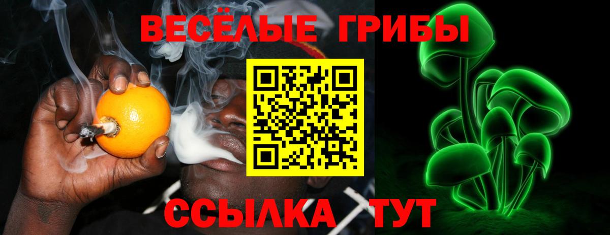 Псилоцибиновые грибы MAGIC MUSHROOMS  Вход с VPN  Егорьевск 